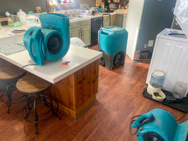 Best Local water damage restoration  in Creston, IA