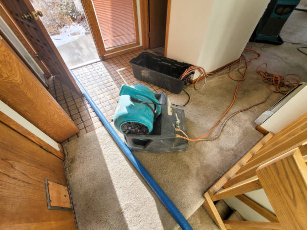 Best Water damage repair service  in Creston, IA