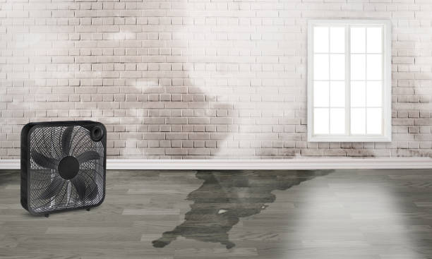 Best Sewage cleanup and water damage restoration  in Creston, IA