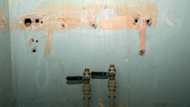 Best 24/7 water damage repair  in Creston, IA