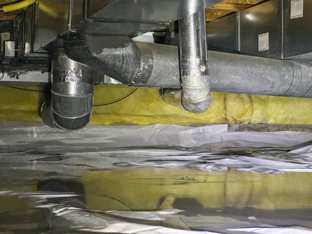 Best Water damage restoration process  in Creston, IA