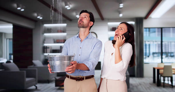 Best Water damage cleanup near me  in Creston, IA